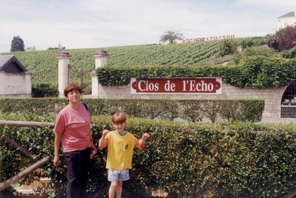 26 chinon 01