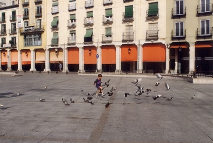 41 burgos 05