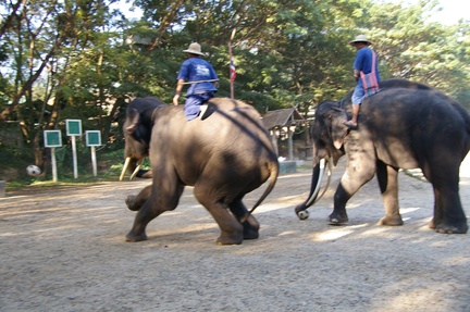 2013 01 08 10 23 35-2013 01 08 03 19 35-IMGP1491