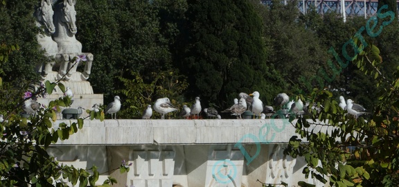 una de las fuentes de la plaza del imperio