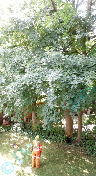 05_P7300015.jpg